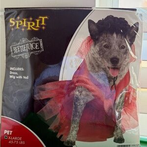 Spirit Beetlejuice Lydia Dog Costume